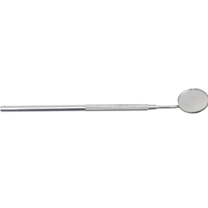 Ivy | Dental Care Tools – Achieve a Radiant Smile