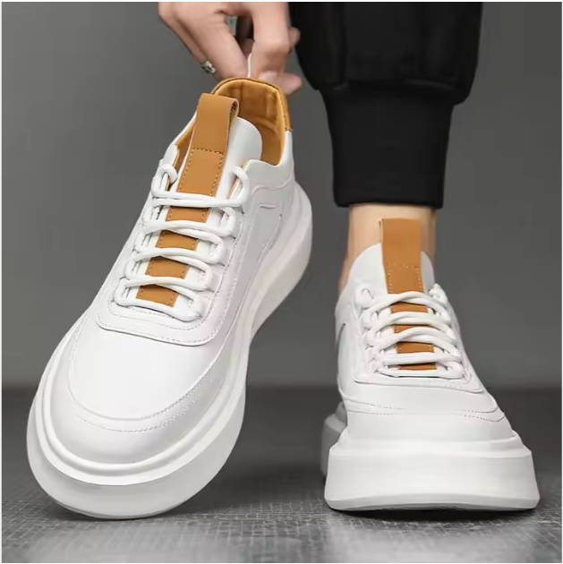 Untitled_design_14.png